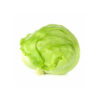 Ice Berg Lettuce