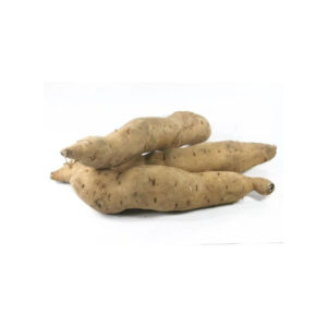Sweet Potato