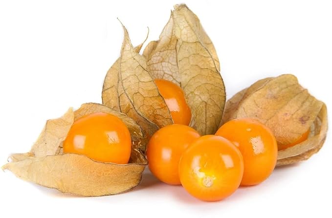 Cape Gooseberry